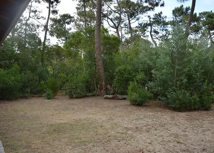 Villa Cap-ferret -tres Grande Maison Famille- 150m Lège-Cap-Ferret
